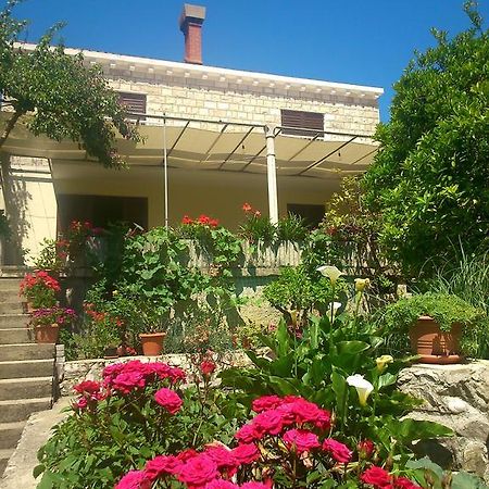 Bed and Breakfast Antun Mozara Family House Slano Exterior foto