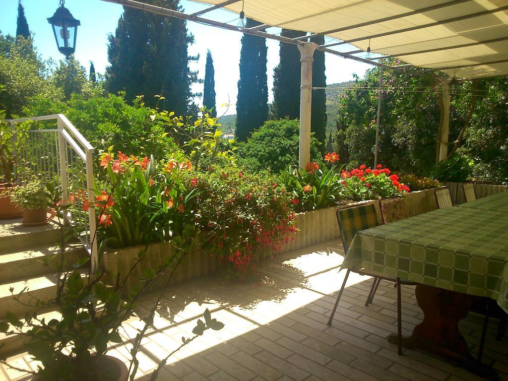 Bed and Breakfast Antun Mozara Family House Slano Exterior foto