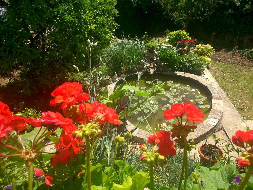 Bed and Breakfast Antun Mozara Family House Slano Exterior foto