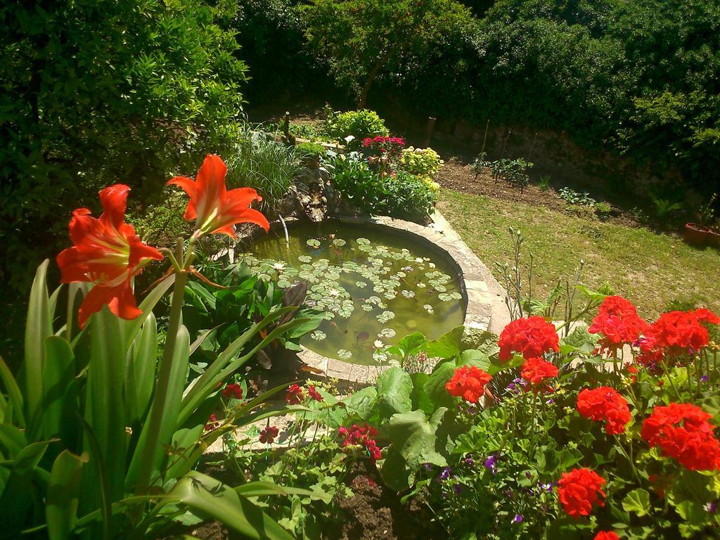Bed and Breakfast Antun Mozara Family House Slano Exterior foto