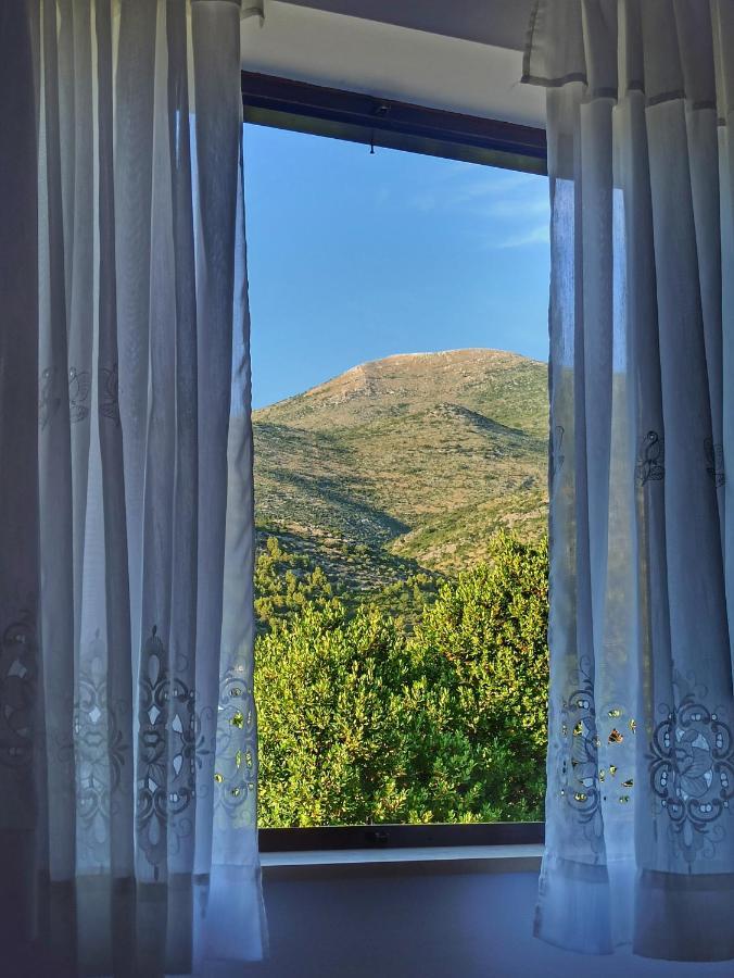 Bed and Breakfast Antun Mozara Family House Slano Exterior foto