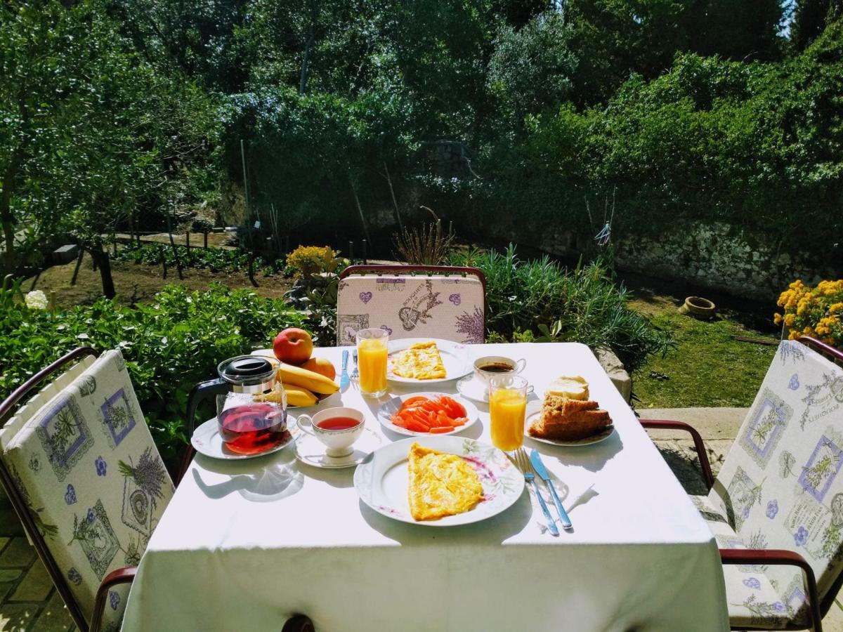 Bed and Breakfast Antun Mozara Family House Slano Exterior foto