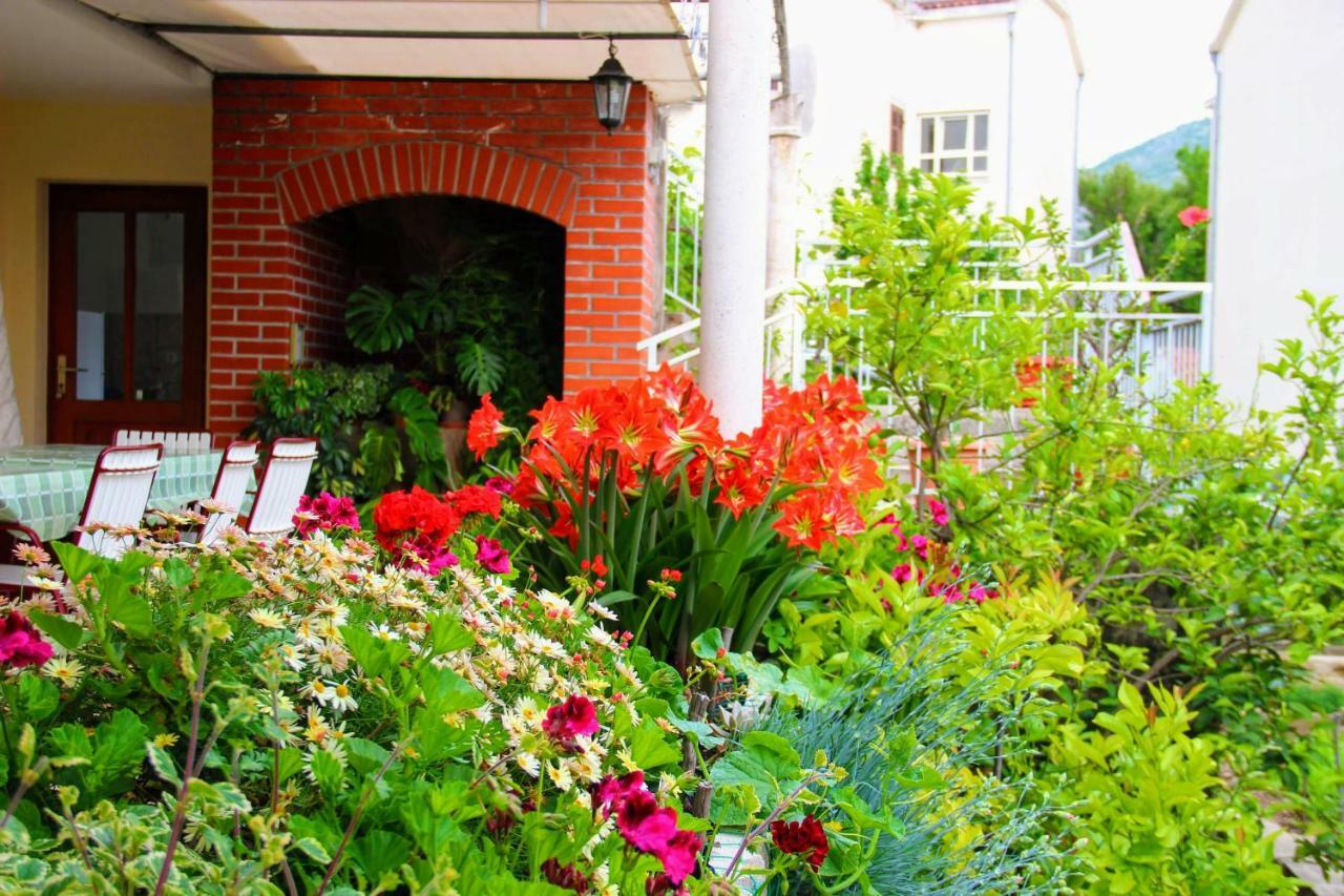 Bed and Breakfast Antun Mozara Family House Slano Exterior foto
