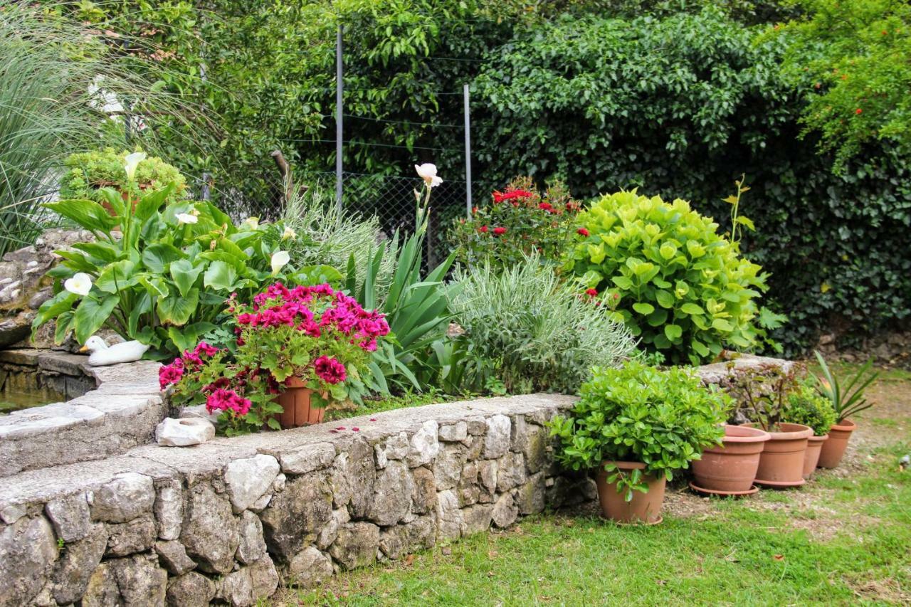 Bed and Breakfast Antun Mozara Family House Slano Exterior foto